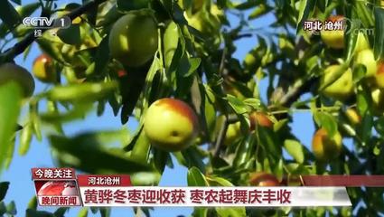 中國農(nóng)業(yè)強不強?村民富不富?答案就在這希望的田野上